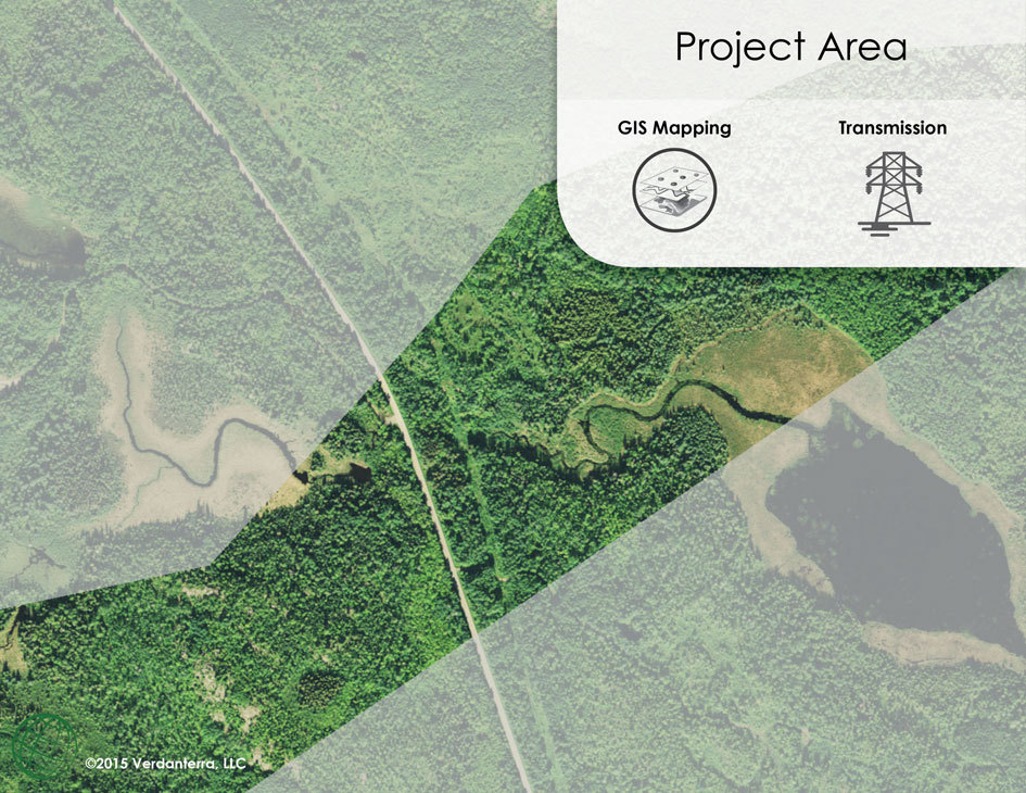 GIS Visualization Transmission 1